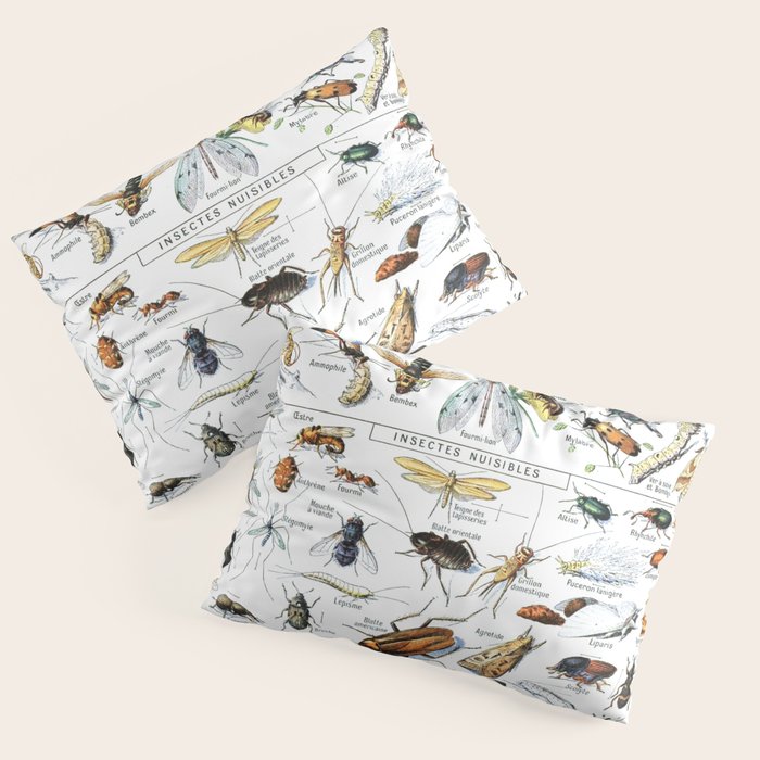 Insects Illustrations by Millot and Larousse Pillow Sham Gallery Image 1