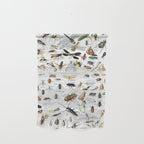 Insects Illustrations by Millot and Larousse Wall Hanging Gallery Image 1