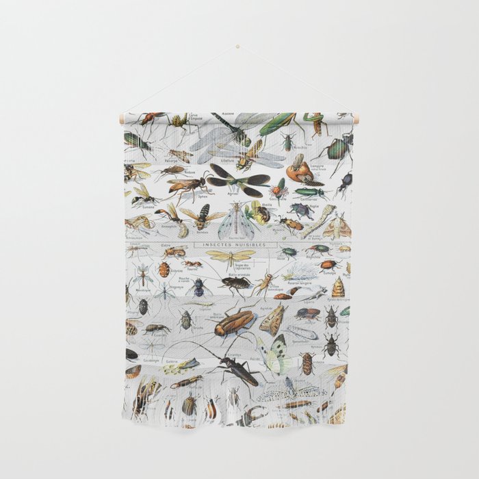 Insects Illustrations by Millot and Larousse Wall Hanging Gallery Image 1
