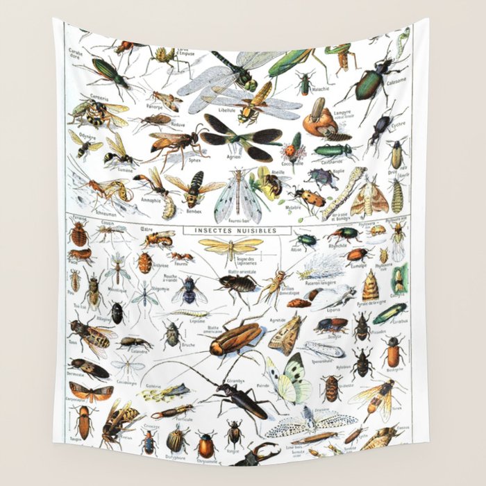 Insects Illustrations by Millot and Larousse Wall Tapestry Gallery Image 4