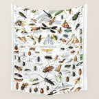 Insects Illustrations by Millot and Larousse Wall Tapestry Gallery Image 4