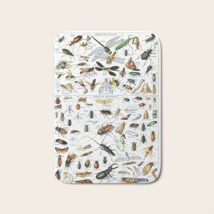 Insects Illustrations by Millot and Larousse Bath Mat Gallery Image 1