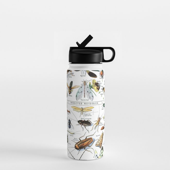 Insects Illustrations by Millot and Larousse Water Bottle
