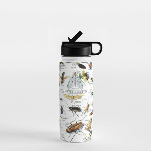 Insects Illustrations By Millot And Larousse Water Bottle Gallery Image 1