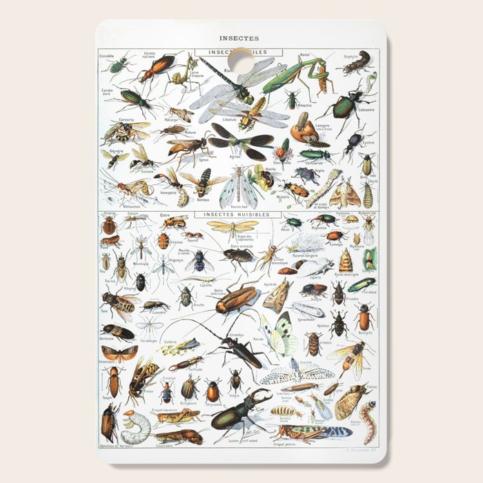Insects Illustrations by Millot and Larousse Cutting Board Gallery Image 1