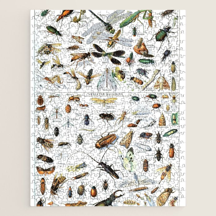 Insects Illustrations by Millot and Larousse Jigsaw Puzzle Gallery Image 1