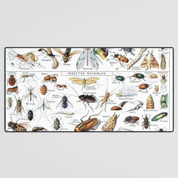 Insects Illustrations by Millot and Larousse Desk Mat Gallery Image 3
