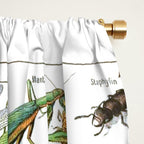 Insects Illustrations by Millot and Larousse Window Curtain Gallery Image 2