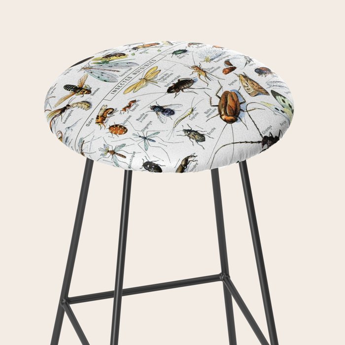 Insects Illustrations by Millot and Larousse Stool Gallery Image 2