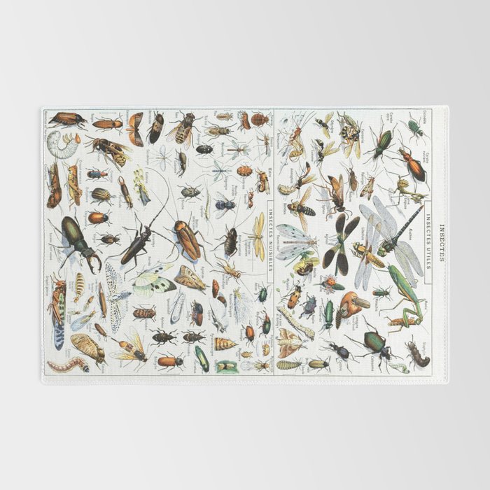Insects Illustrations by Millot and Larousse Rug Gallery Image 2