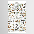 Insects Illustrations by Millot and Larousse Tablecloth Gallery Image 2