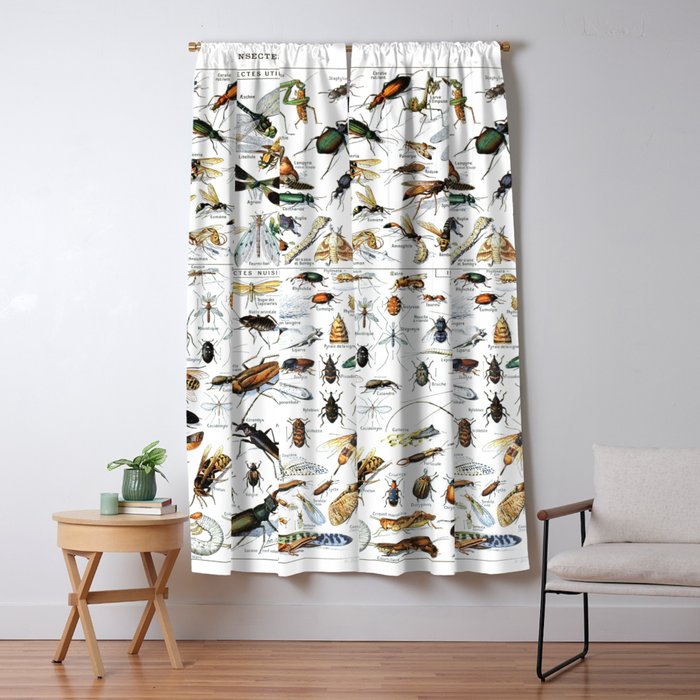 Insects Illustrations by Millot and Larousse Window Curtain Gallery Image 1
