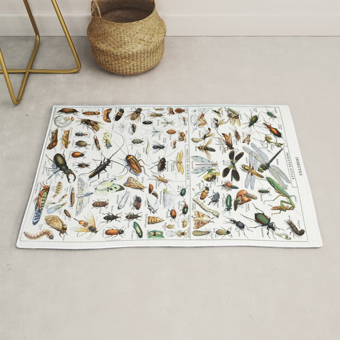 Insects Illustrations by Millot and Larousse Rug Gallery Image 1