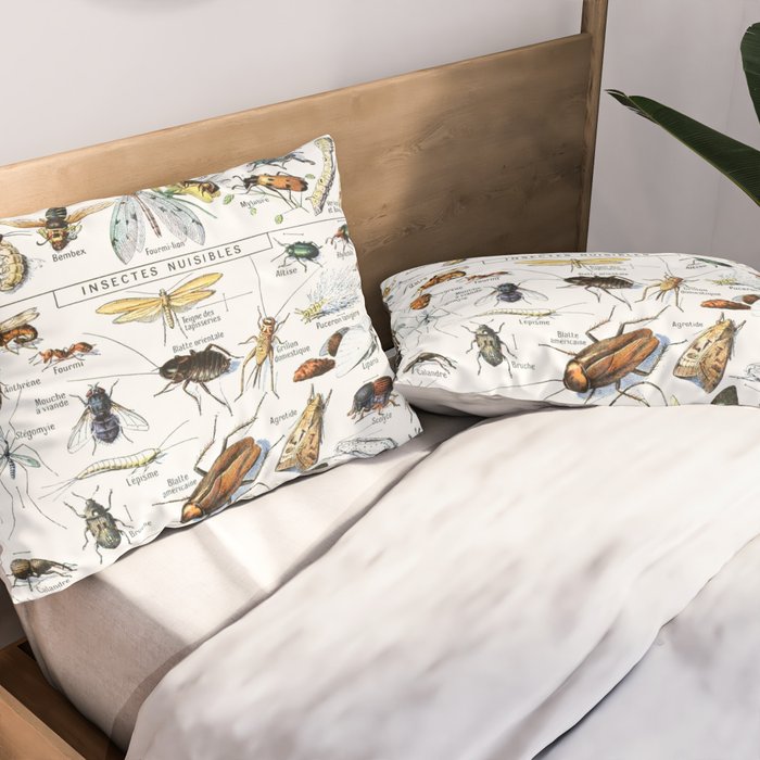 Insects Illustrations by Millot and Larousse Pillow Sham Gallery Image 2