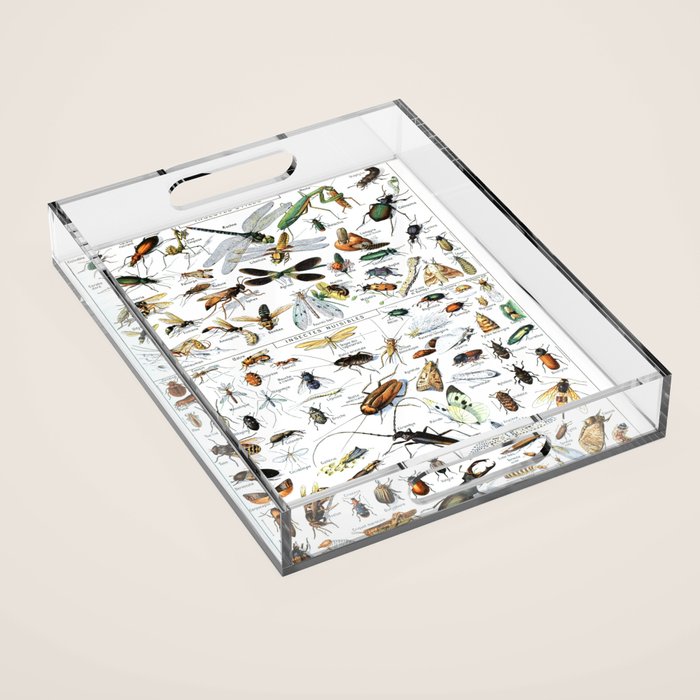 Insects Illustrations by Millot and Larousse Acrylic Tray Gallery Image 1