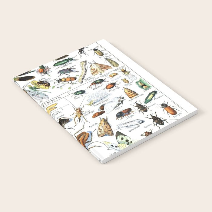 Insects Illustrations by Millot and Larousse Notebook Gallery Image 2