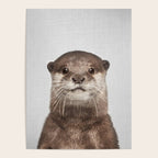 Otter - Colorful Poster Gallery Image 4