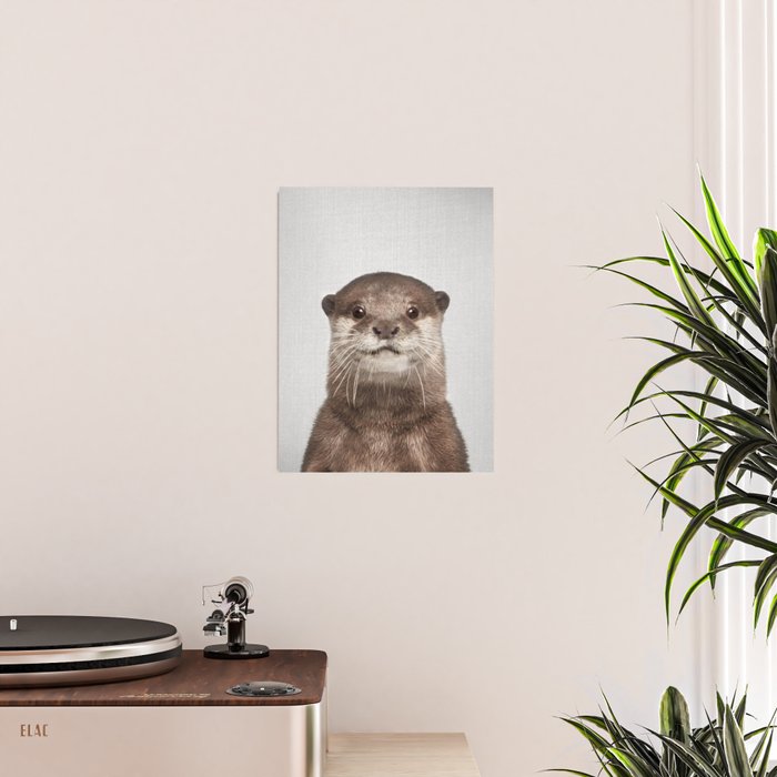Otter - Colorful Poster Gallery Image 2