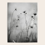 Whispers in Bloom II Poster Gallery Image 4