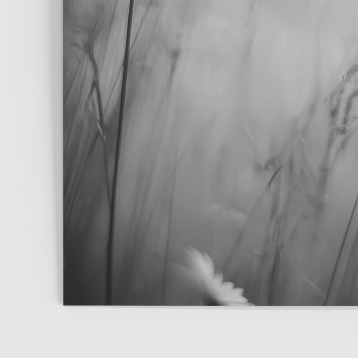Whispers in Bloom II Poster Gallery Image 3