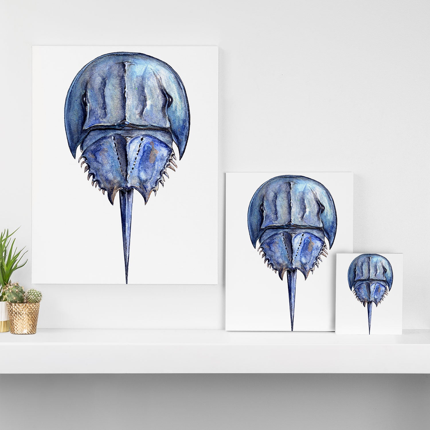 Blue Horseshoe Crab Canvas Print Gallery Image 3