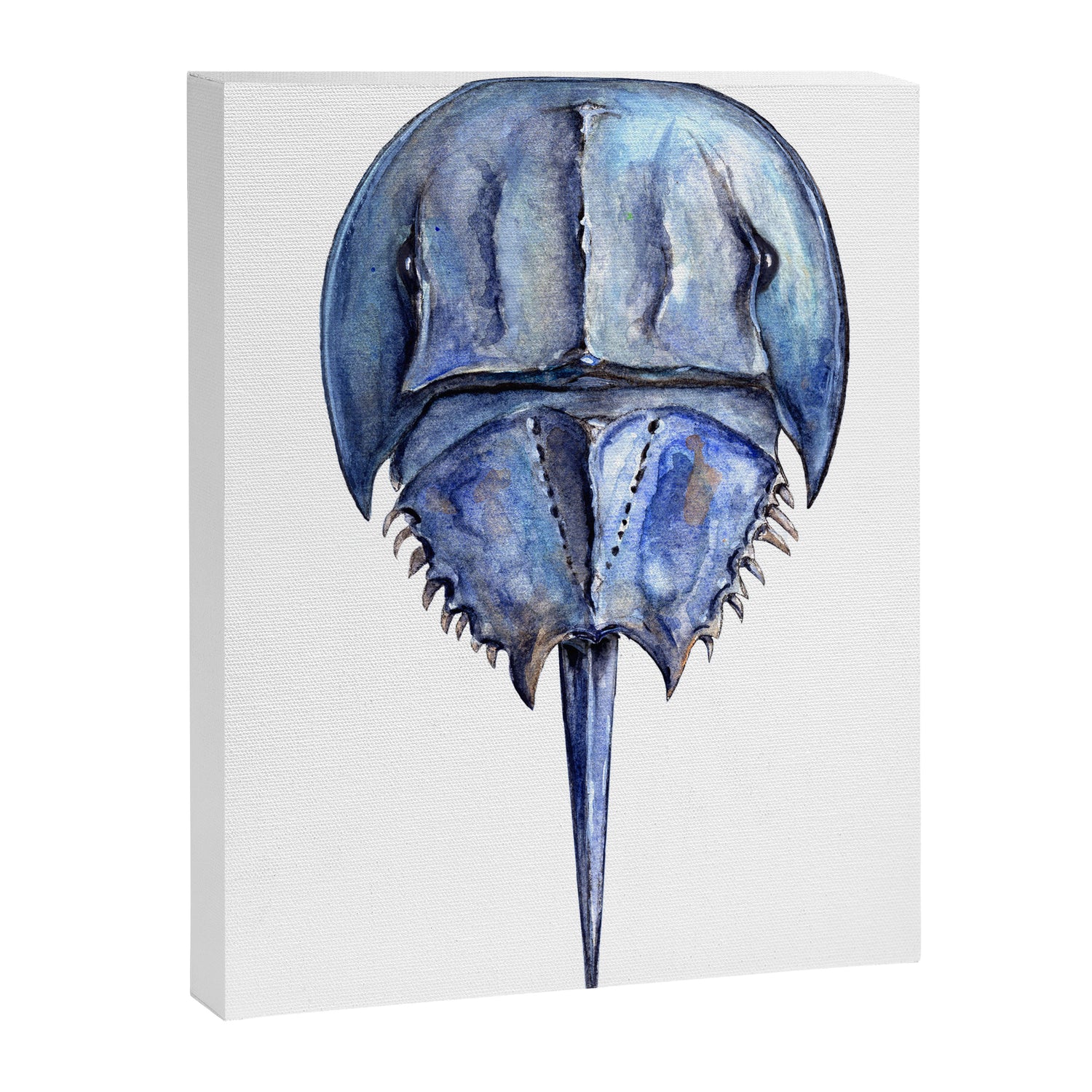 Blue Horseshoe Crab Canvas Print Gallery Image 3