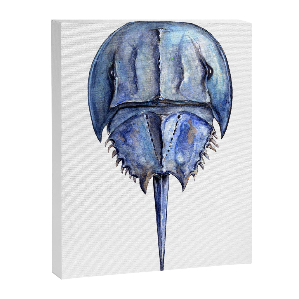 Blue Horseshoe Crab Canvas Print Gallery Image 8