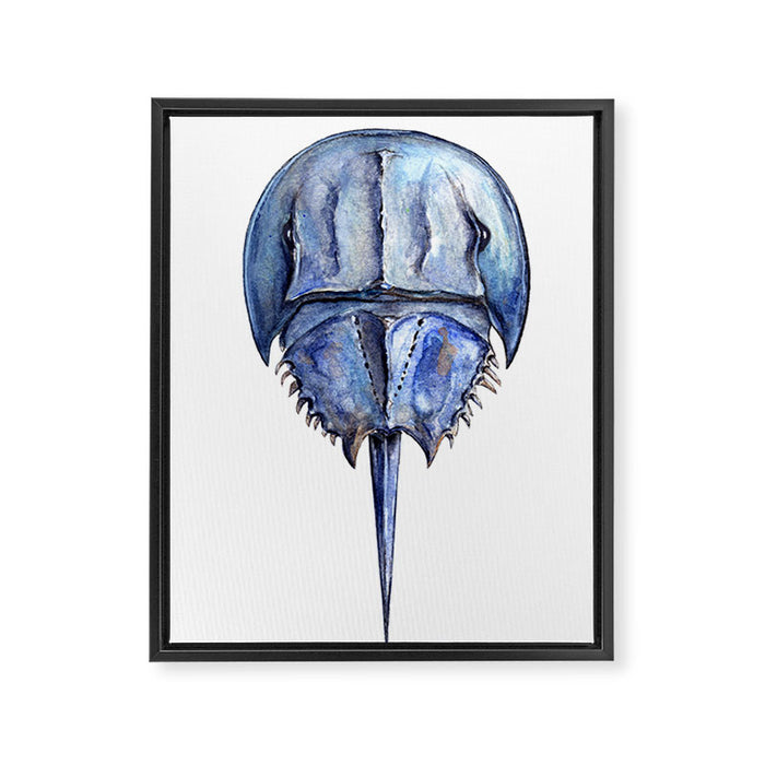 Blue Horseshoe Crab Framed Canvas Print Gallery Image 1