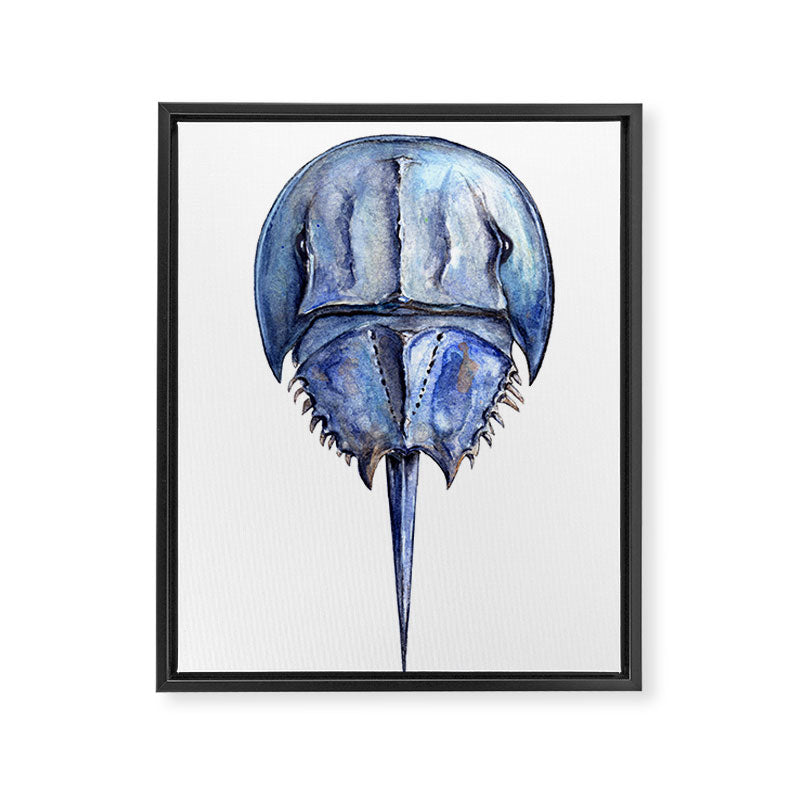 Blue Horseshoe Crab Framed Canvas Print Gallery Image 8