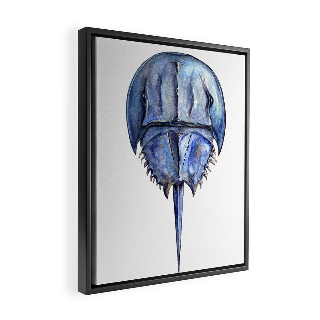 Blue Horseshoe Crab Framed Canvas Print Gallery Image 2