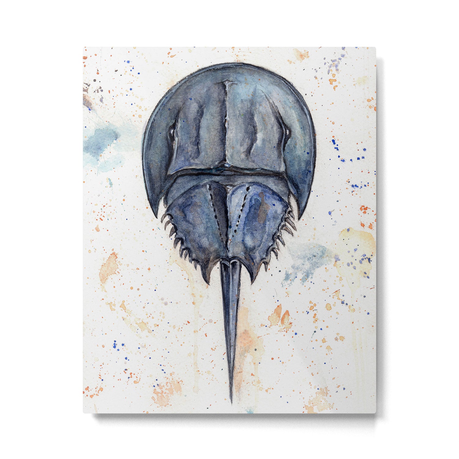 Horseshoe Crab Blues Metal Print Gallery Image 4