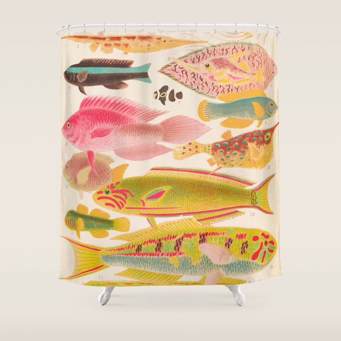 Colorful Tropical Fishes Vintage Sea Life Illustration Shower Curtain Gallery Image 1