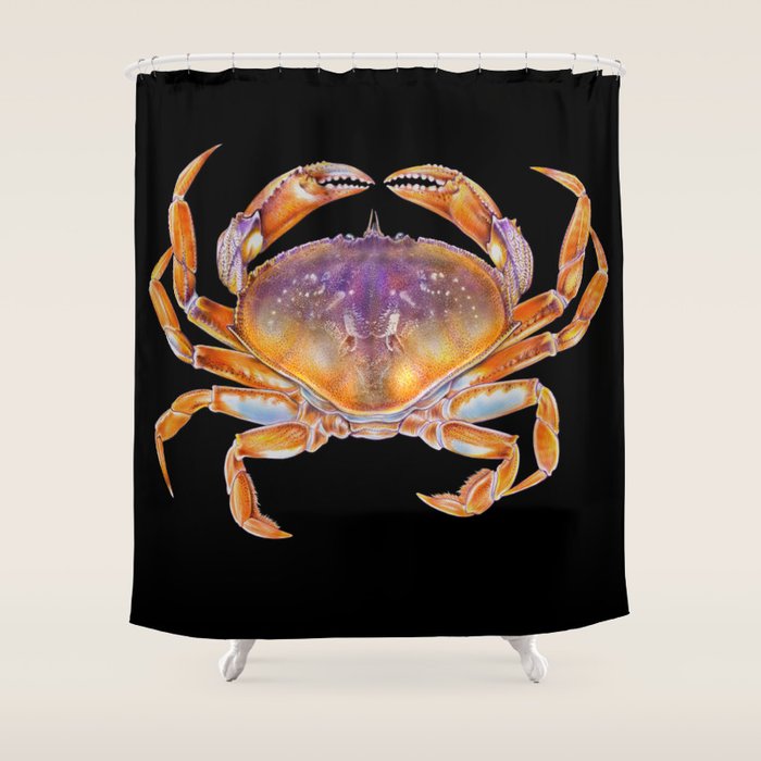 Dungeness crab Shower Curtain Gallery Image 1