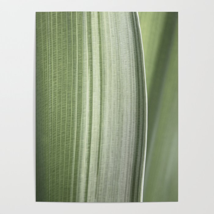 Botanical green abstract tropical leaf art print - mindful nature and travel photography Poster Gallery Image 1