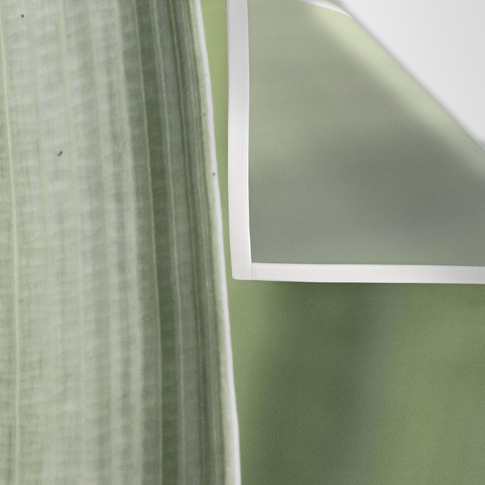Botanical green abstract tropical leaf art print - mindful nature and travel photography Wall Tapestry Gallery Image 3