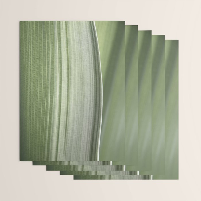 Botanical green abstract tropical leaf art print - mindful nature and travel photography Wrapping Paper Gallery Image 3