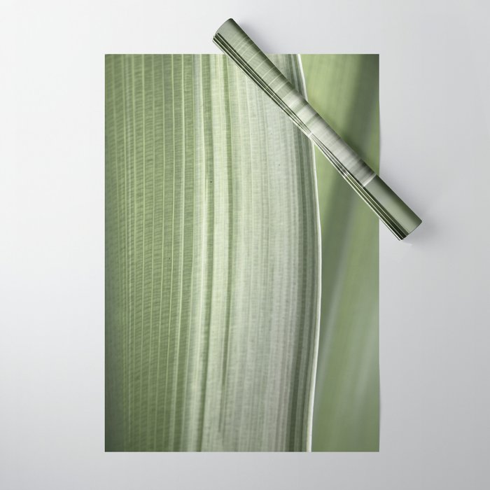 Botanical green abstract tropical leaf art print - mindful nature and travel photography Wrapping Paper Gallery Image 1