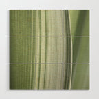 Botanical green abstract tropical leaf art print - mindful nature and travel photography Wood Wall Art Gallery Image 1