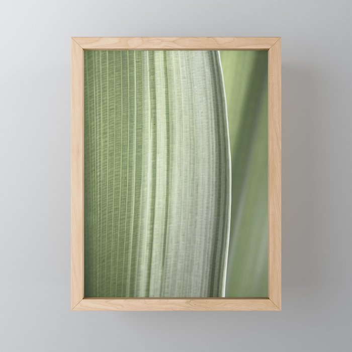 Botanical green abstract tropical leaf art print - mindful nature and travel photography Mini Art Print Gallery Image 1