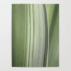 Botanical green abstract tropical leaf art print - mindful nature and travel photography Poster Gallery Image 4