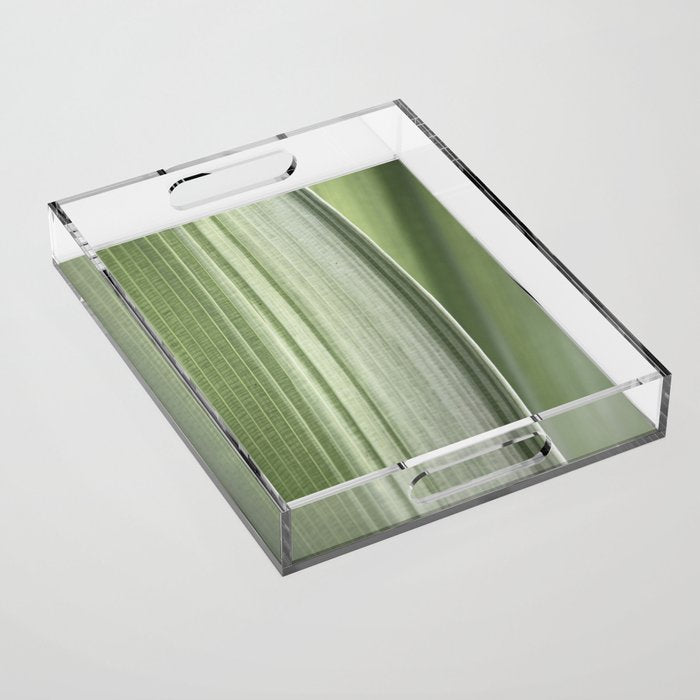 Botanical green abstract tropical leaf art print - mindful nature and travel photography Acrylic Tray Gallery Image 1