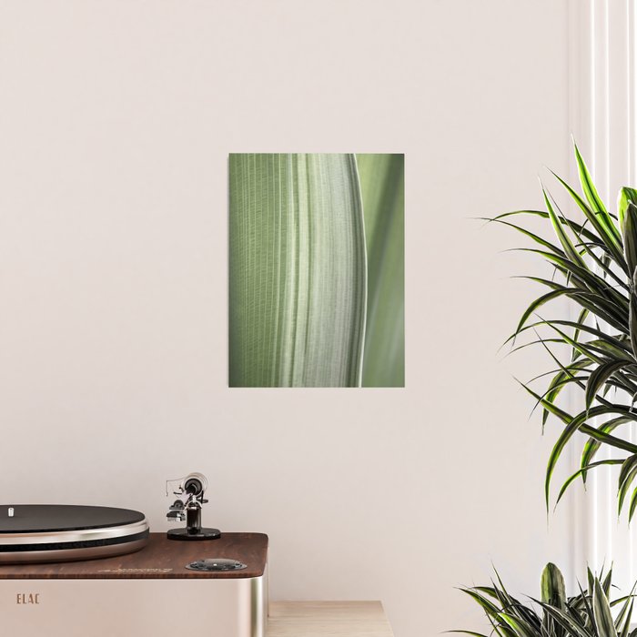 Botanical green abstract tropical leaf art print - mindful nature and travel photography Poster Gallery Image 2