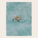 sea turtle vi Poster Gallery Image 4