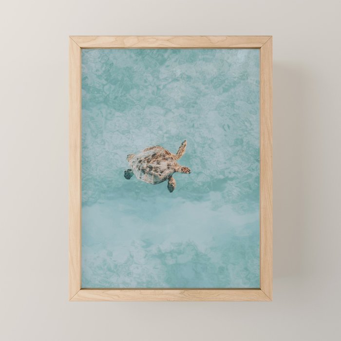 sea turtle vi Mini Art Print Gallery Image 1