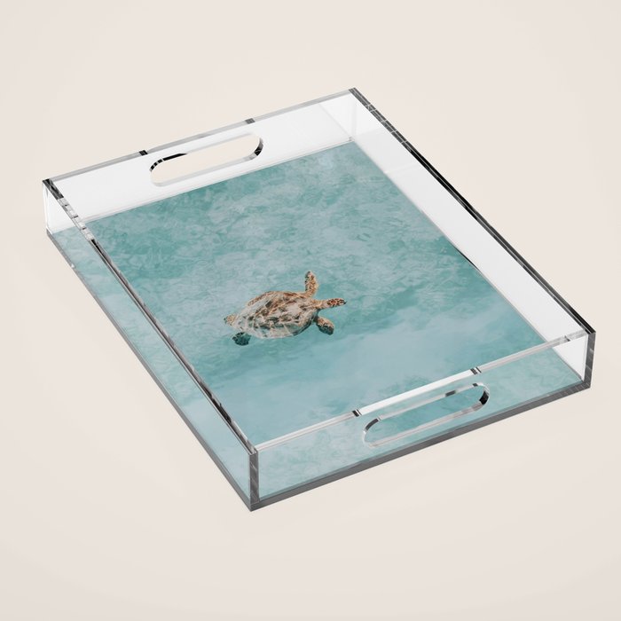 sea turtle vi Acrylic Tray Gallery Image 1