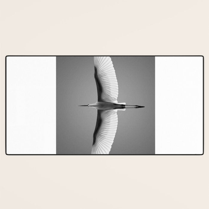 Wings of an Egret in Mid-flight black and white photography - black and white photographs Desk Mat Gallery Image 3