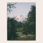 Mount Hood VI Poster Gallery Image 4