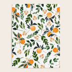 Orange Grove Poster Gallery Image 4