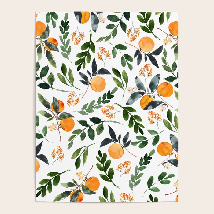 Orange Grove Poster Gallery Image 1