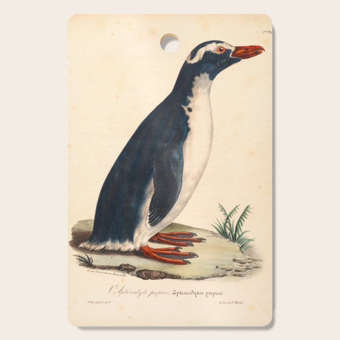Ornithological illustration from "La Galerie de Oiseaux" ("Bird Gallery"), 1825 Cutting Board Gallery Image 1